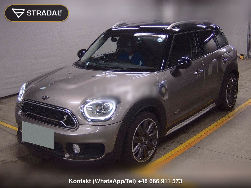 MINI MINI 5D 4WD COOPER SE CROSSOVER ALL 4, miniaturka 5