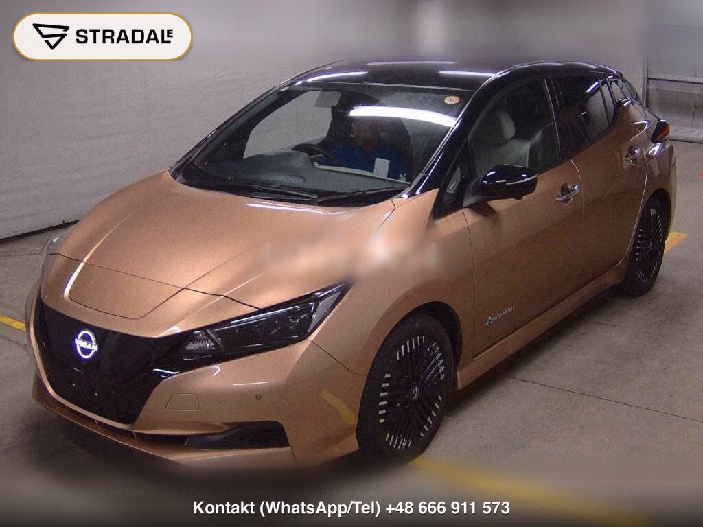 NISSAN LEAF X V SELECTION, miniaturka 5