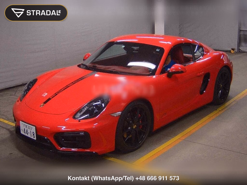 PORSCHE CAYMAN GTS, miniaturka 5