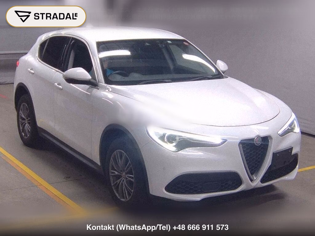 ALFA ROMEO STELVIO 4WD 2.0 TURBO Q4 LUXURY PACKAGE, miniaturka 2
