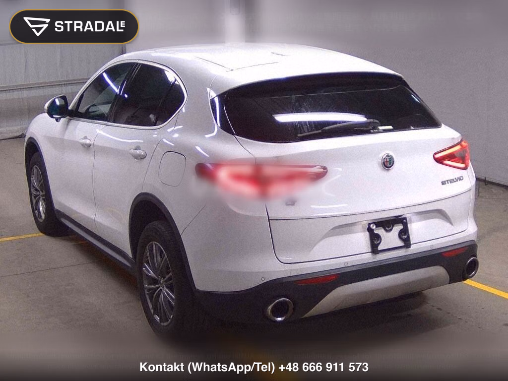 ALFA ROMEO STELVIO 4WD 2.0 TURBO Q4 LUXURY PACKAGE, miniaturka 3