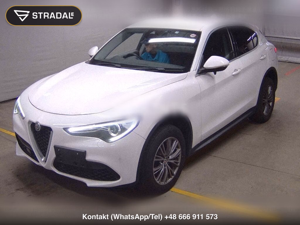 ALFA ROMEO STELVIO 4WD 2.0 TURBO Q4 LUXURY PACKAGE, miniaturka 5