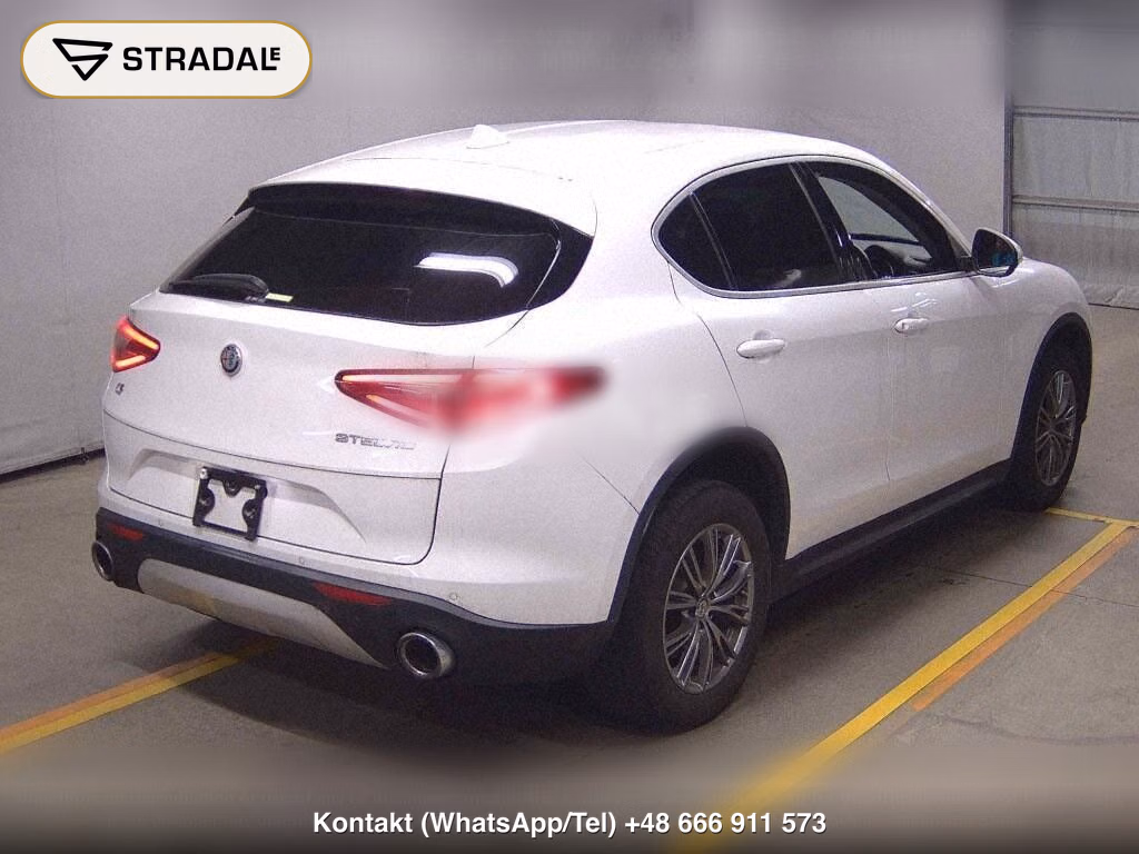 ALFA ROMEO STELVIO 4WD 2.0 TURBO Q4 LUXURY PACKAGE, miniaturka 6