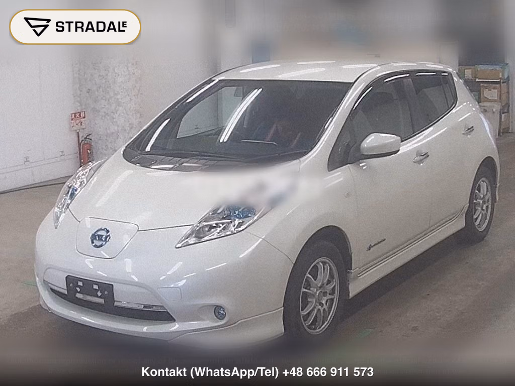NISSAN LEAF X THANKS EDITION(30KWH), miniaturka 5