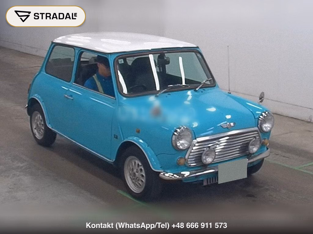 ROVER MINI 2D, miniaturka 2