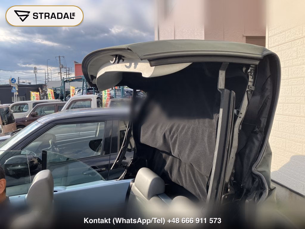 VOLKSWAGEN NEW BEETLE CABRIOLET LZ, miniaturka 9