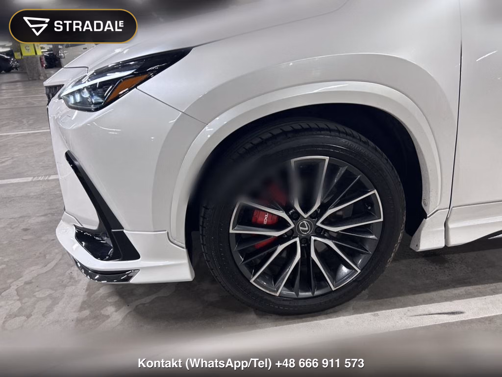 LEXUS NX NX250 VERSION L, miniaturka 11