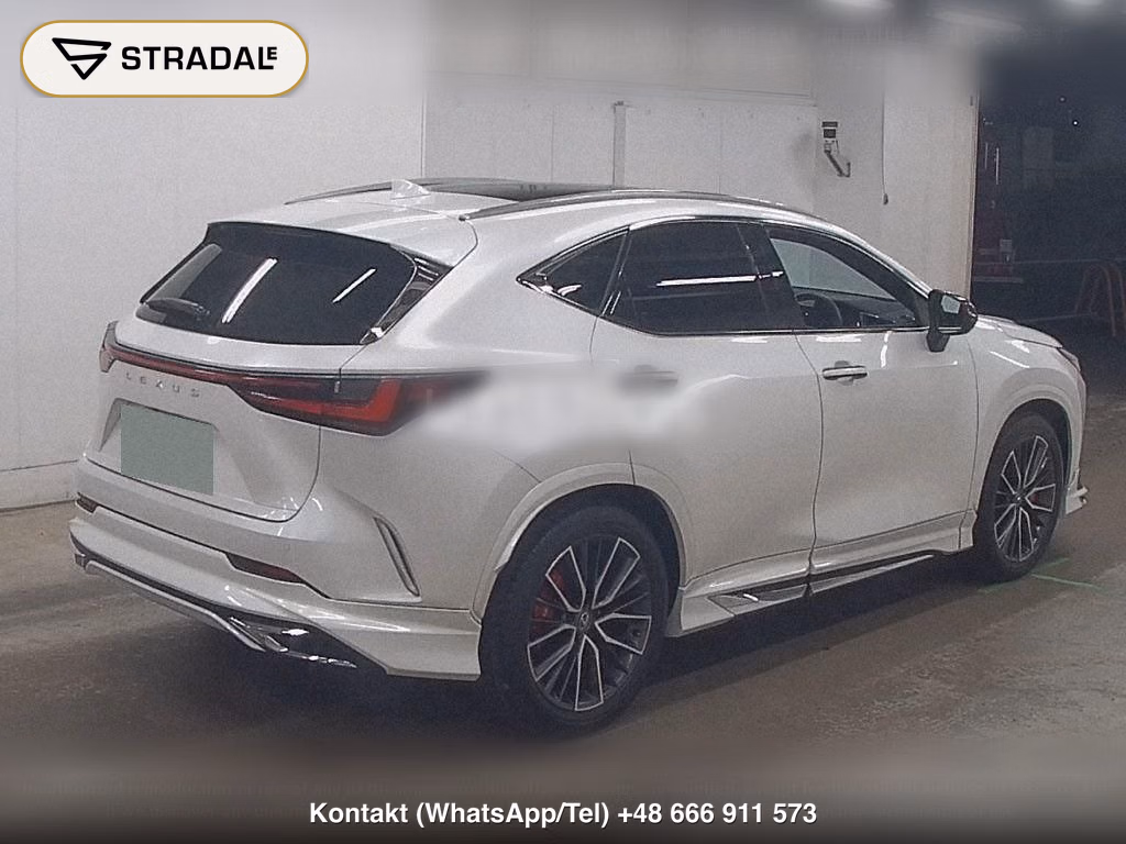 LEXUS NX NX250 VERSION L, miniaturka 6