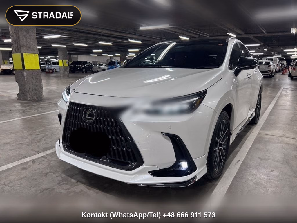 LEXUS NX NX250 VERSION L, miniaturka 10