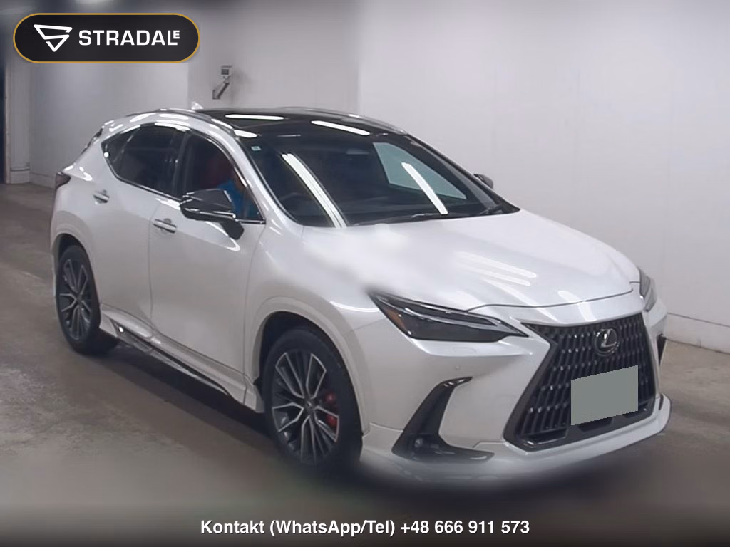 LEXUS NX NX250 VERSION L 2024, aukcja z Japonii, zdjęcie 1
