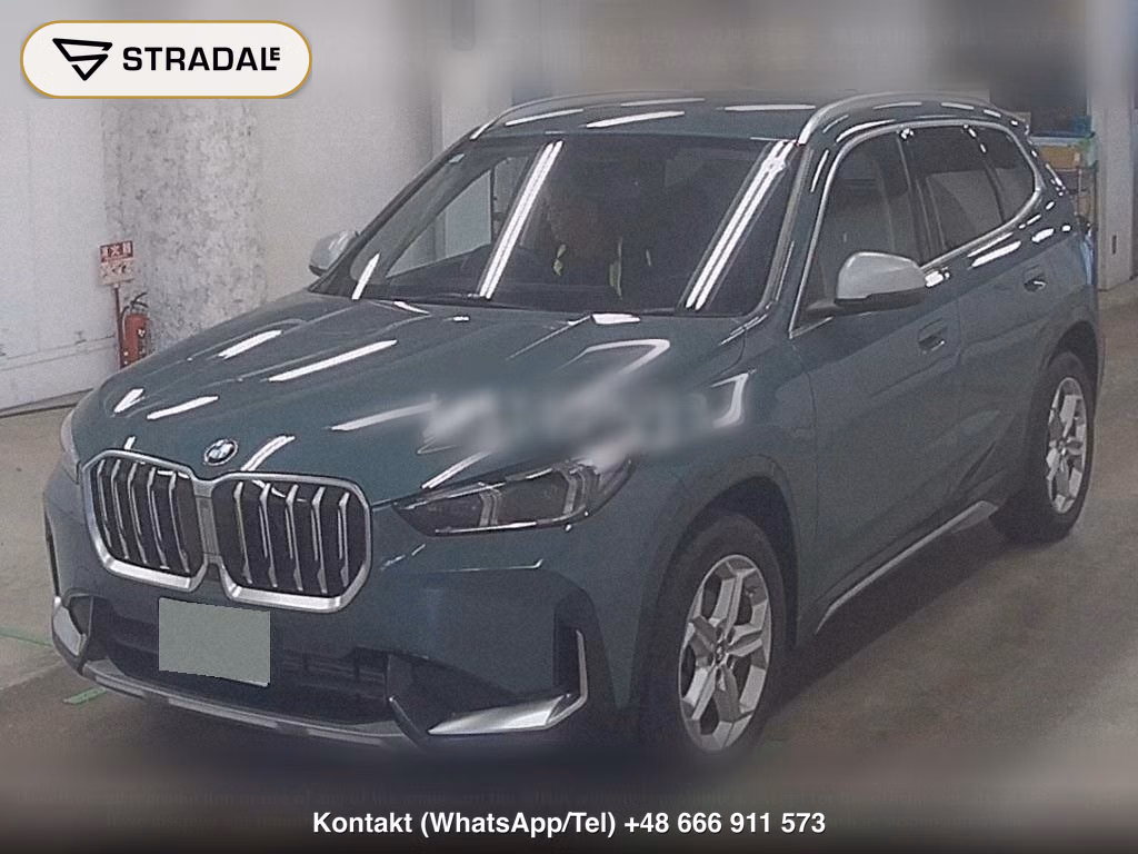 BMW X1 4WD XDRIVE 20D X LINE, miniaturka 5