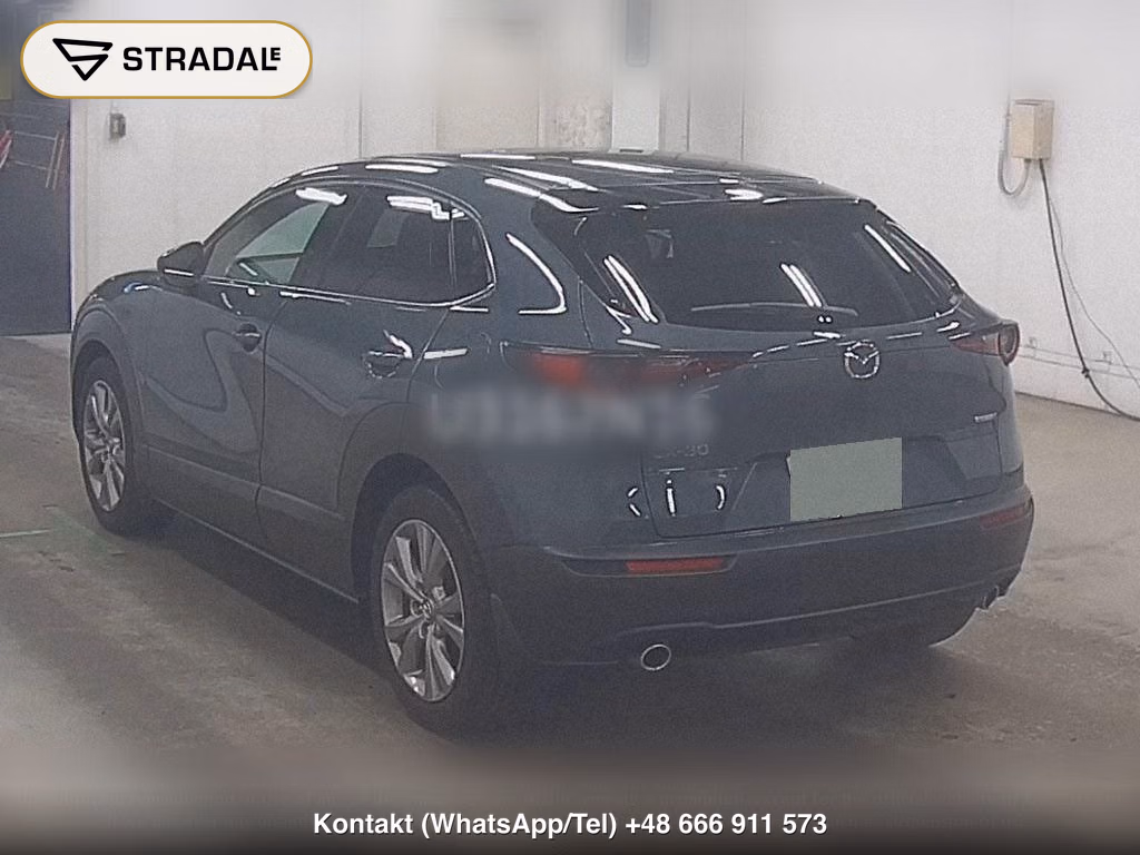 MAZDA CX-30 XD PROACTIVE TOURING SELECTION, miniaturka 3
