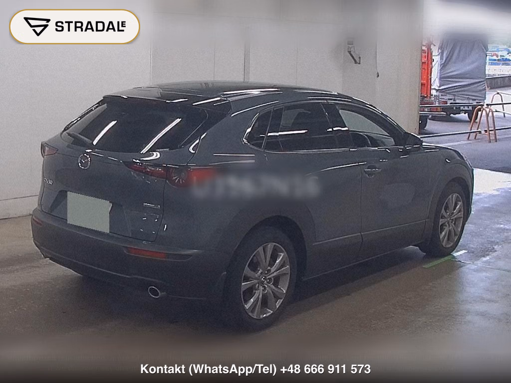 MAZDA CX-30 XD PROACTIVE TOURING SELECTION, miniaturka 6