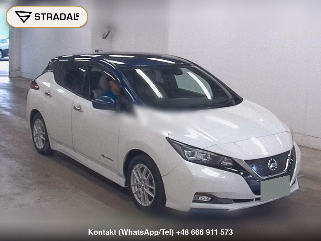 NISSAN LEAF X, miniaturka 2