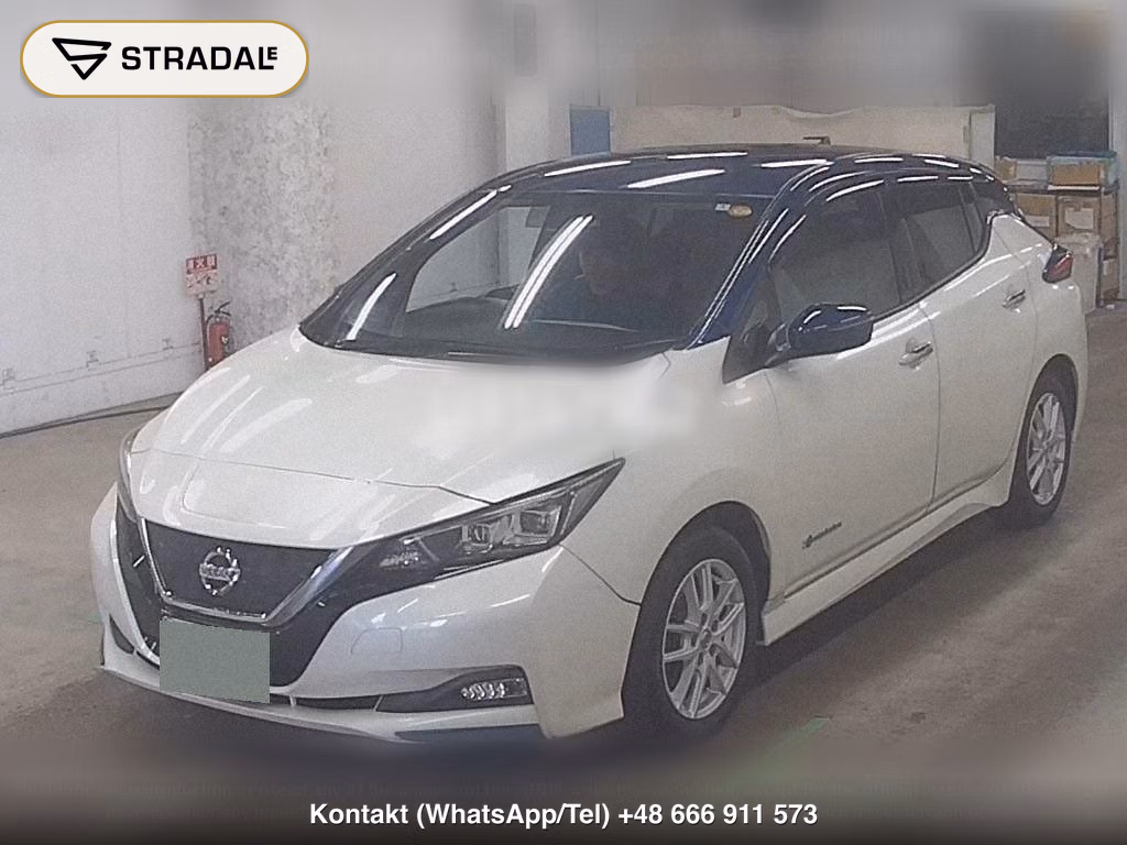 NISSAN LEAF X, miniaturka 5