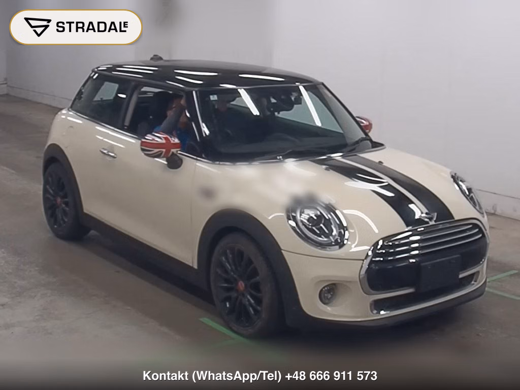 MINI MINI 3D OTHERS 2020, aukcja z Japonii, zdjęcie 1