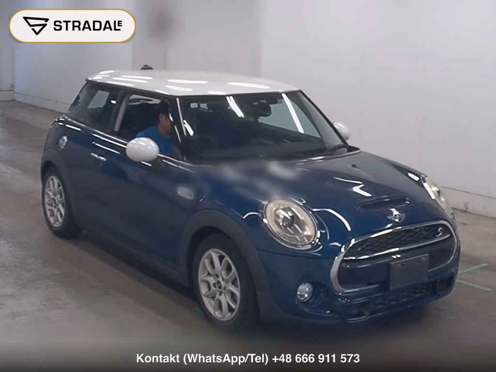 MINI MINI 3D OTHERS 2015, aukcja z Japonii, zdjęcie 1