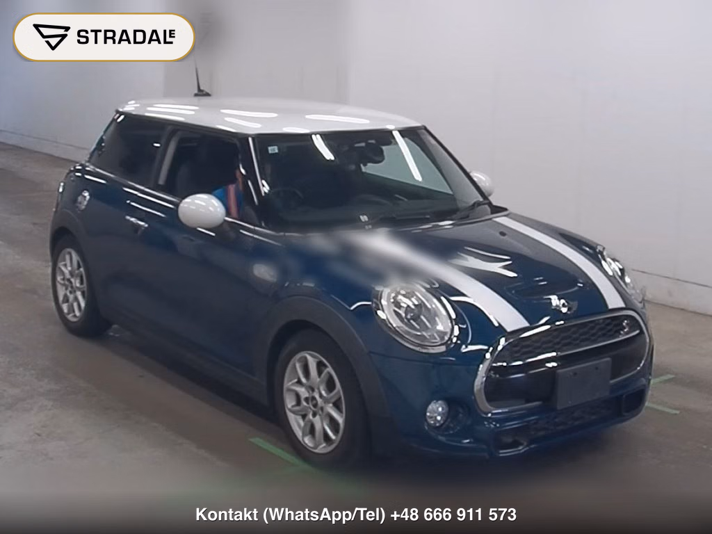 MINI MINI 3D OTHERS 2015, aukcja z Japonii, zdjęcie 1