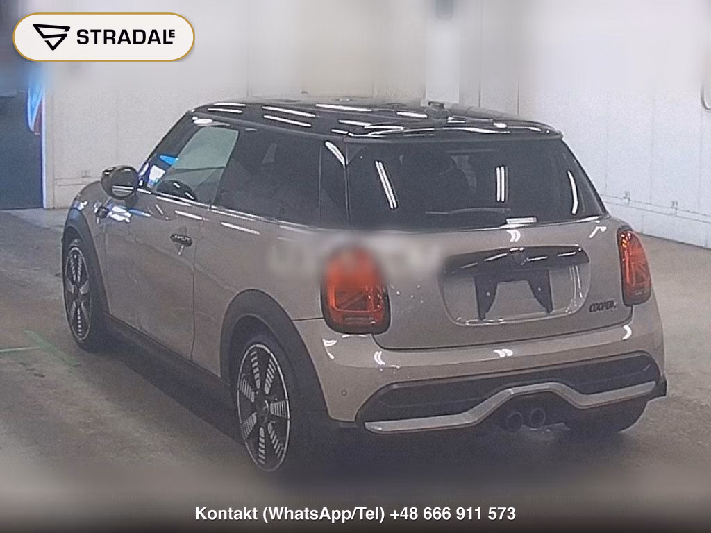 MINI MINI 3D COOPER S, miniaturka 3