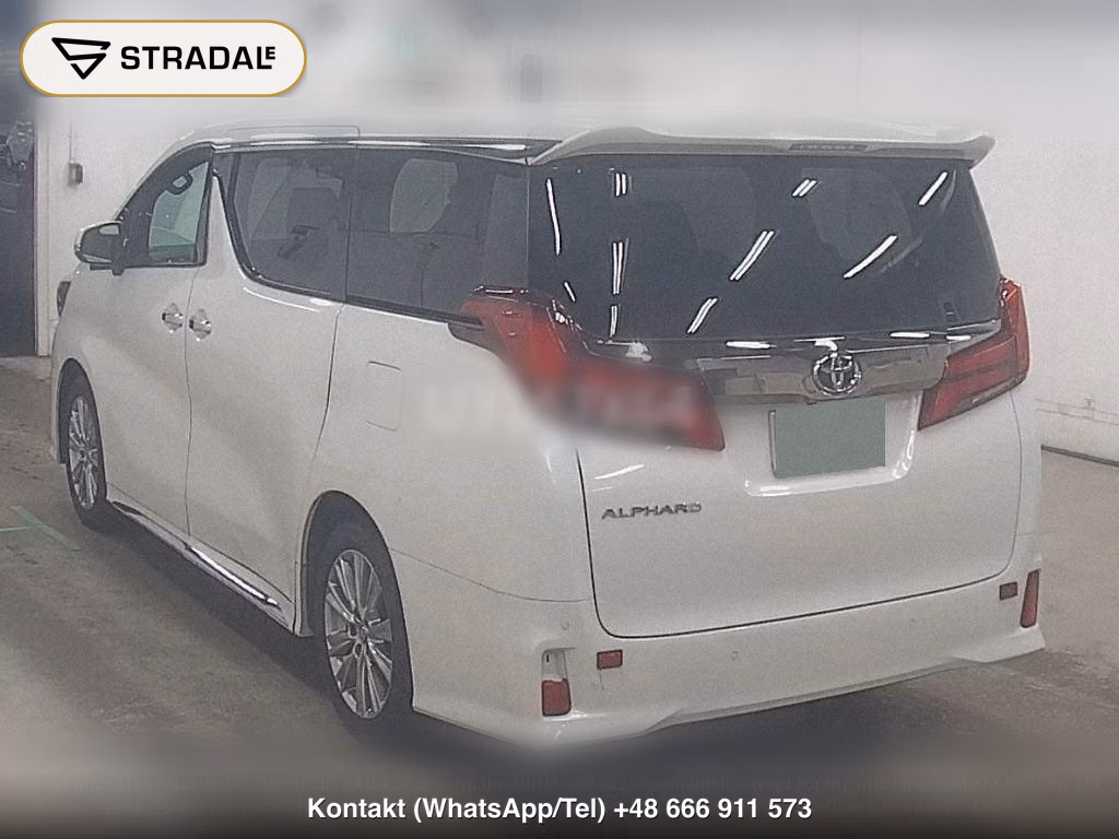 TOYOTA ALPHARD S TYPE GOLDⅢ, miniaturka 3