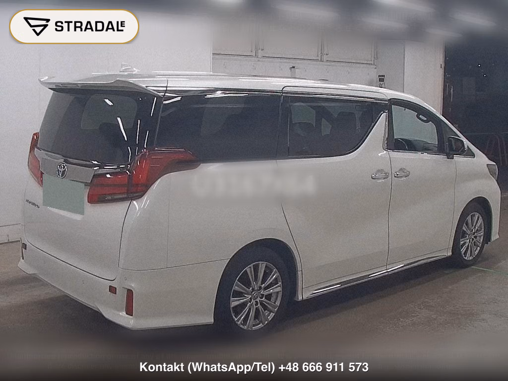 TOYOTA ALPHARD S TYPE GOLDⅢ, miniaturka 6