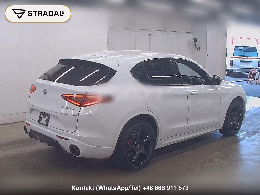 ALFA ROMEO STELVIO 4WD 2.2 TURBO DIESEL Q4 VELOCE, miniaturka 6