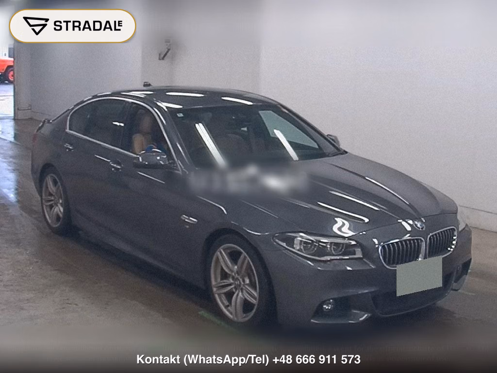 BMW 5 SERIES 4D 523D CELEBRATION EDITION BARON, miniaturka 2