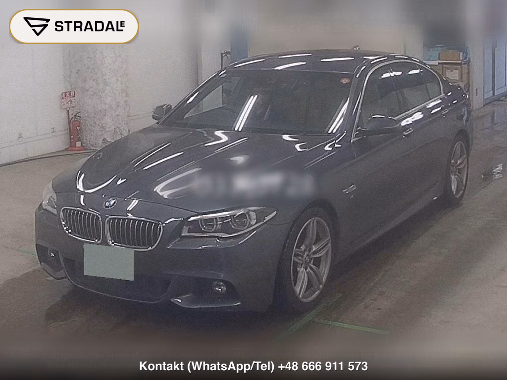 BMW 5 SERIES 4D 523D CELEBRATION EDITION BARON, miniaturka 5