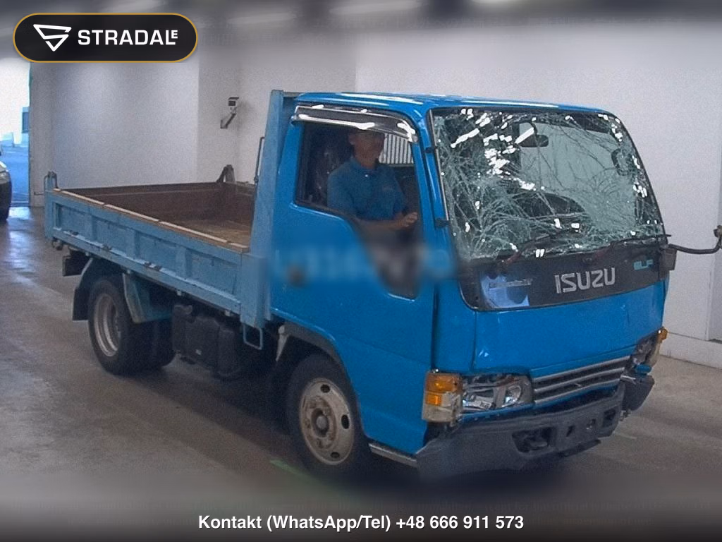 ISUZU ELF TRUCK 2D DUMP, miniaturka 2