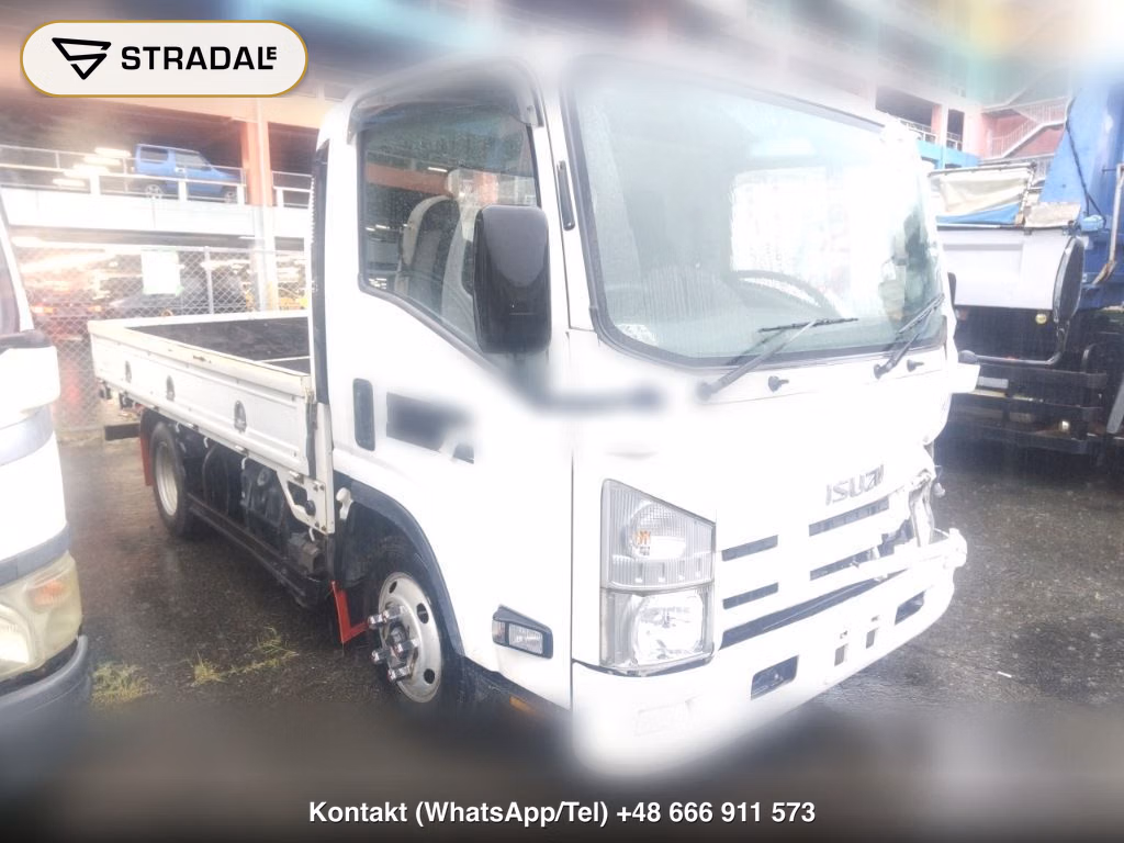 ISUZU ELF TRUCK 2D 2008, aukcja z Japonii, zdjęcie 1