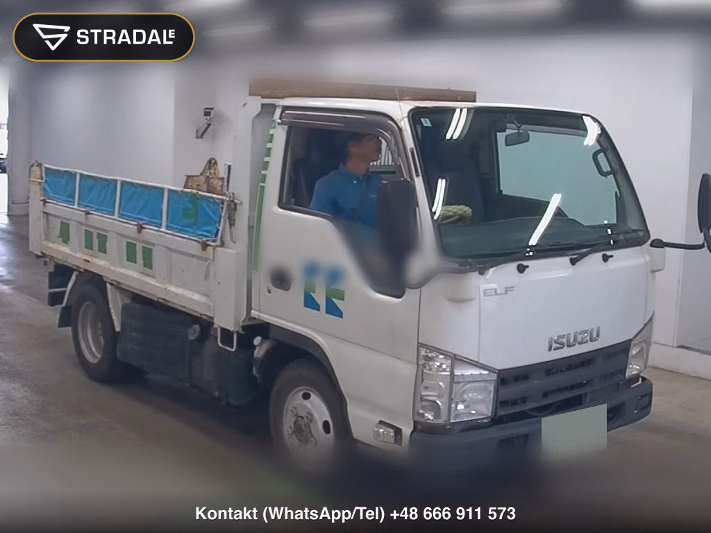 ISUZU ELF TRUCK 2D 4WD DUMP LOW DECK 2010, aukcja z Japonii, zdjęcie 1