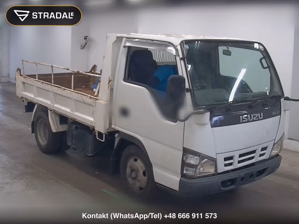 ISUZU ELF TRUCK 2D OTHERS 2007, aukcja z Japonii, zdjęcie 1