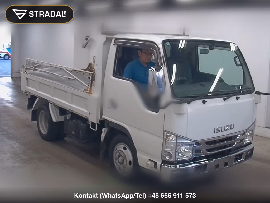 ISUZU ELF TRUCK 2D OTHERS 2019, aukcja z Japonii, zdjęcie 1