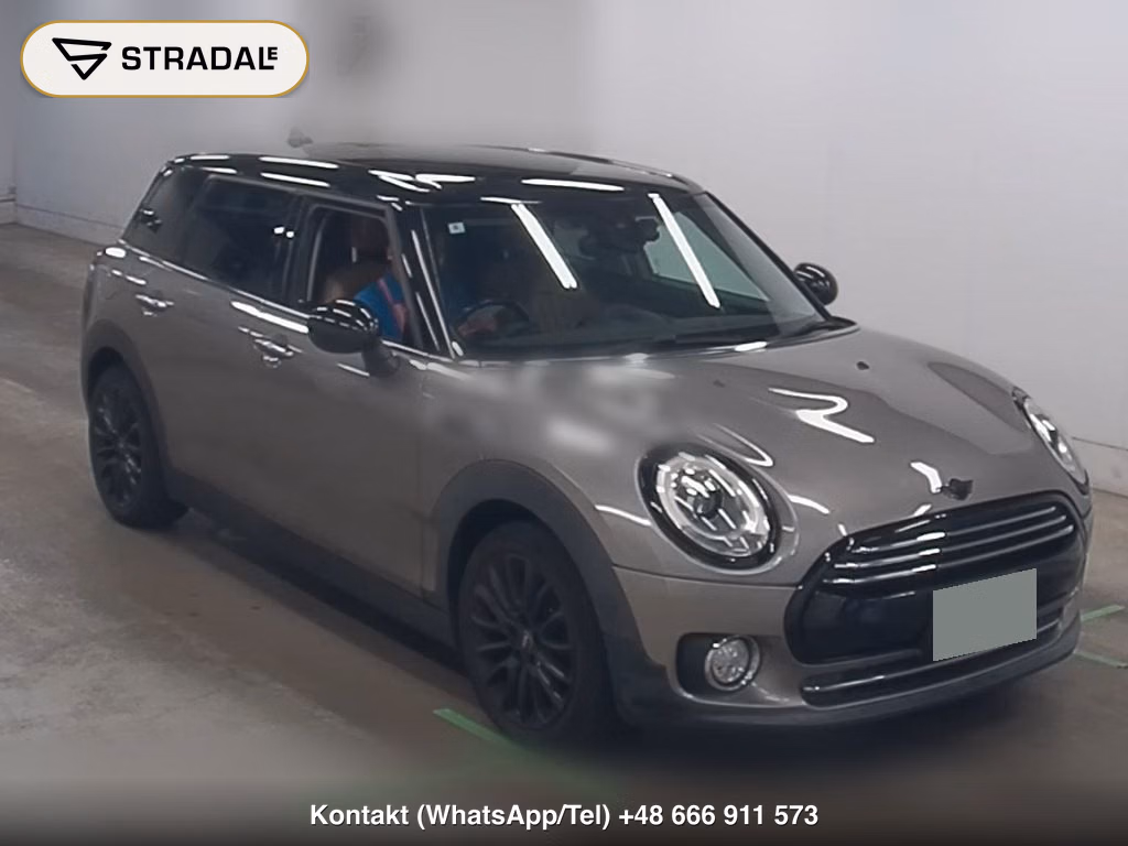 MINI MINI WG OTHERS 2018, aukcja z Japonii, zdjęcie 1