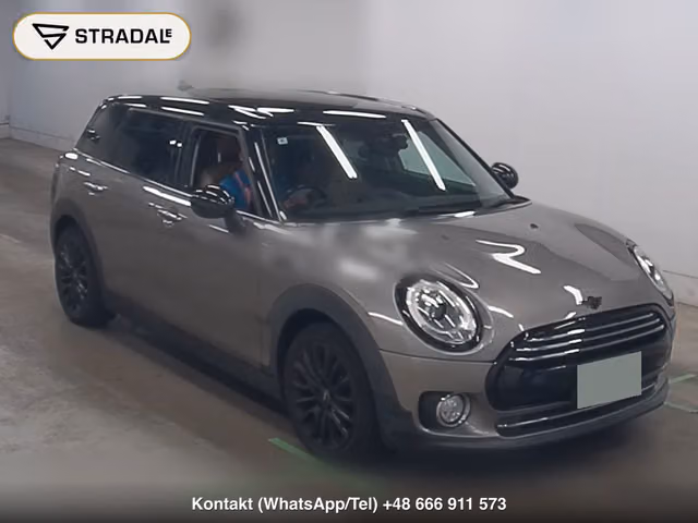 MINI MINI WG OTHERS 2018, samochód z aukcji Japonii