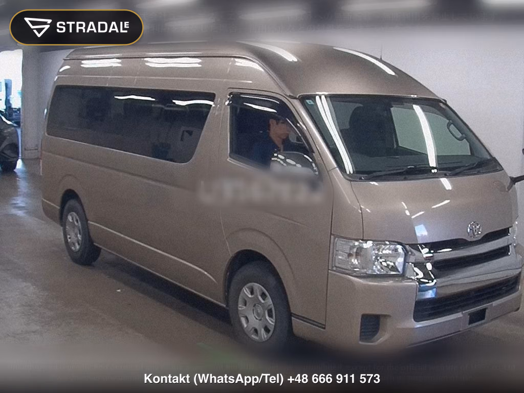 TOYOTA HIACE WAGON 4D GRAND CABIN, miniaturka 2