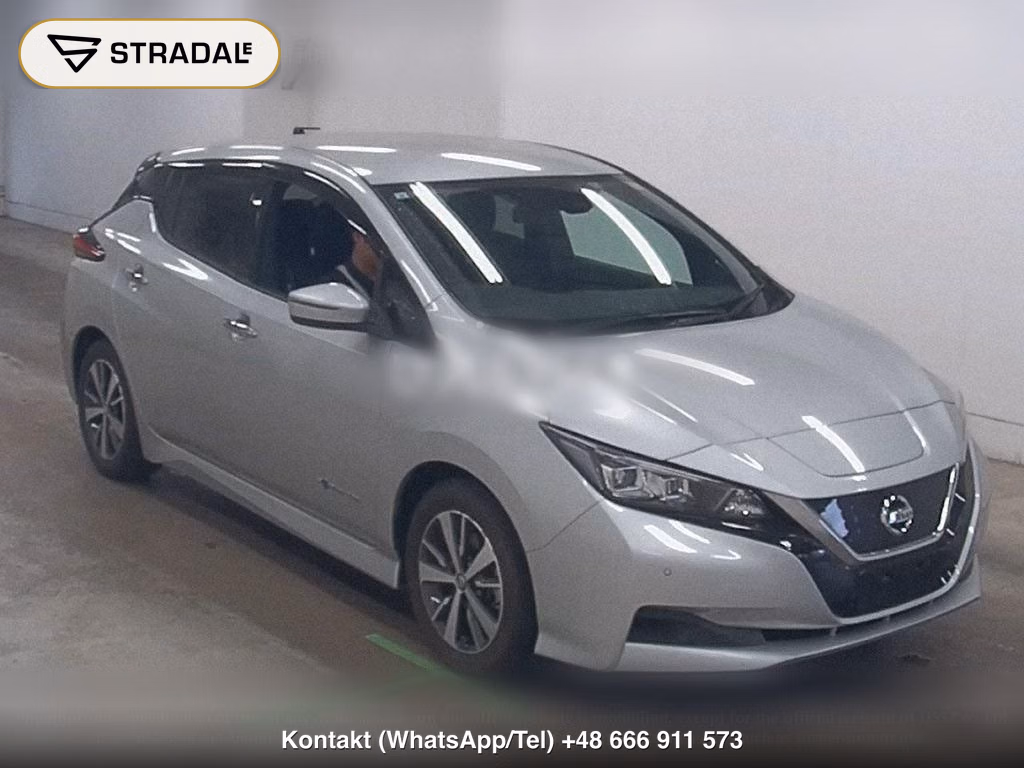 NISSAN LEAF X, miniaturka 2