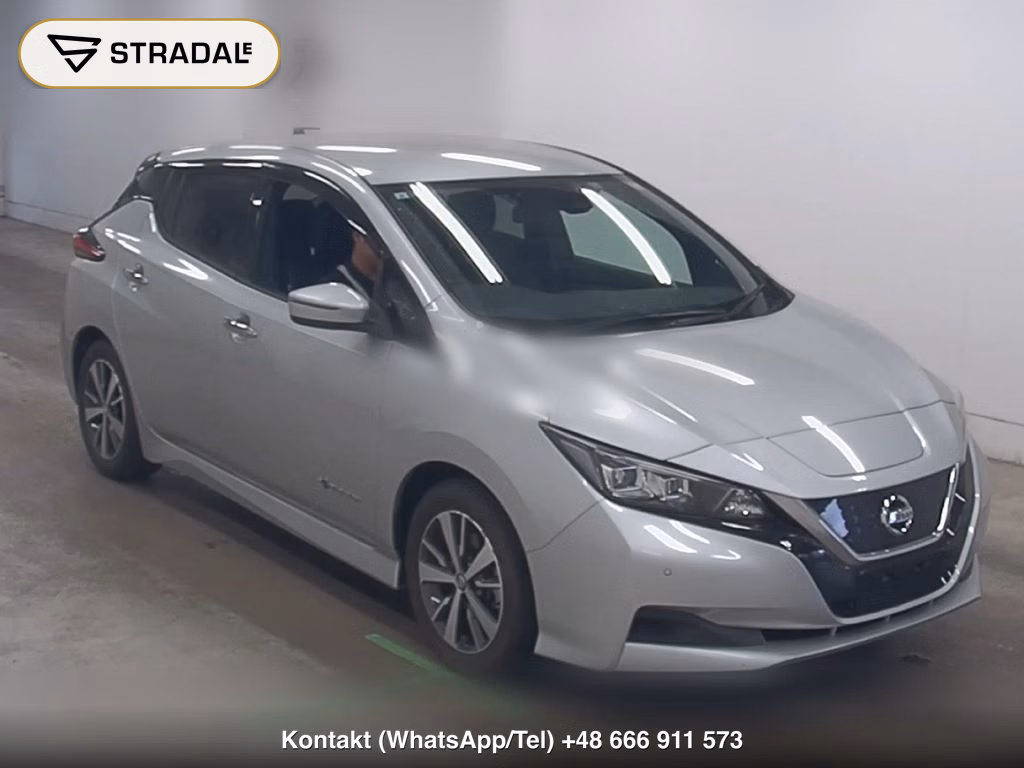 NISSAN LEAF X 2019, aukcja z Japonii, zdjęcie 1