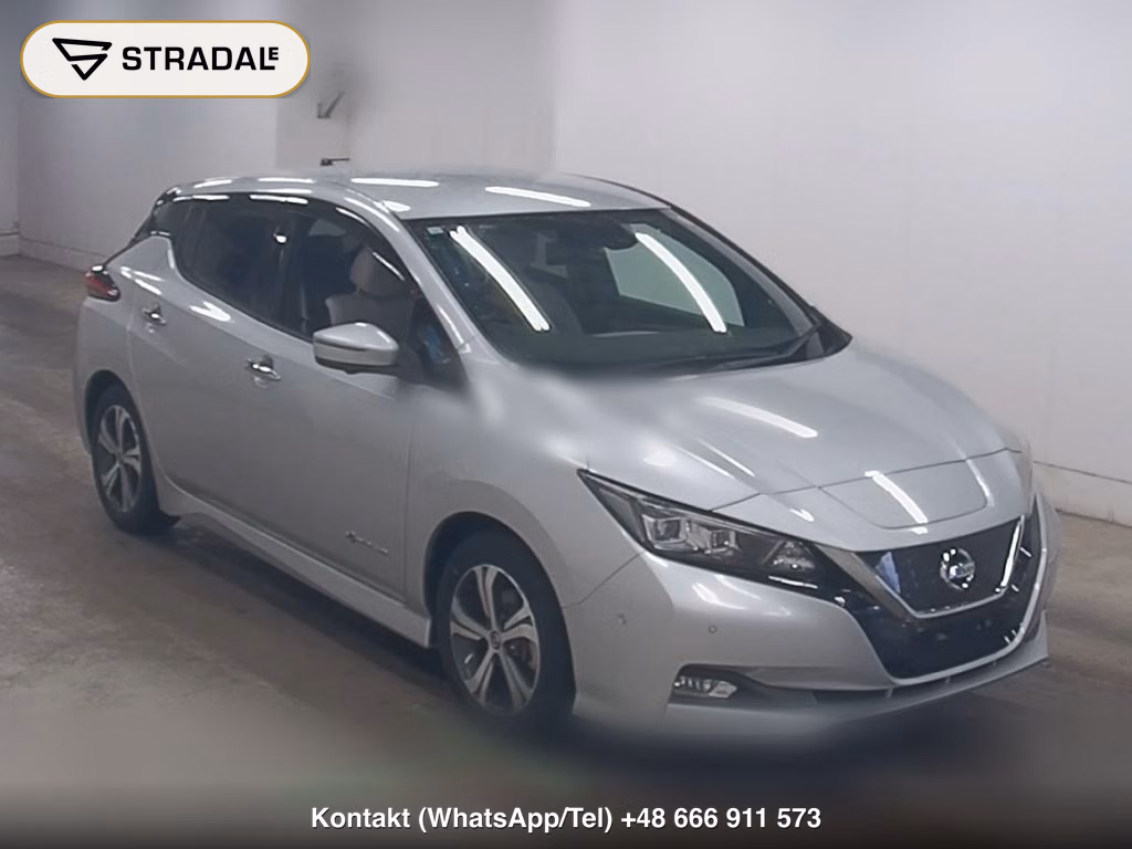 NISSAN LEAF G 2019, aukcja z Japonii, zdjęcie 1