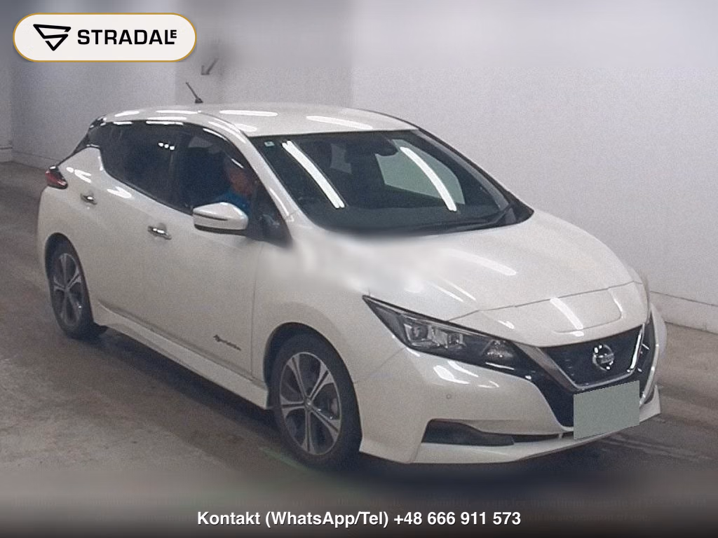 NISSAN LEAF X, miniaturka 2