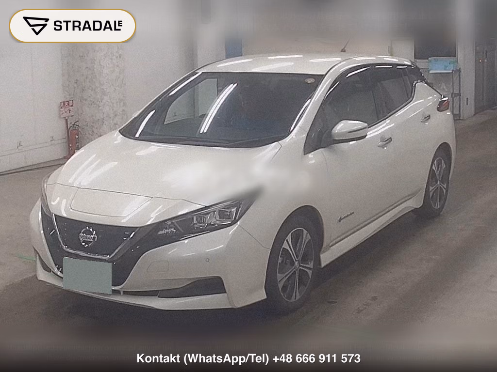 NISSAN LEAF X, miniaturka 5