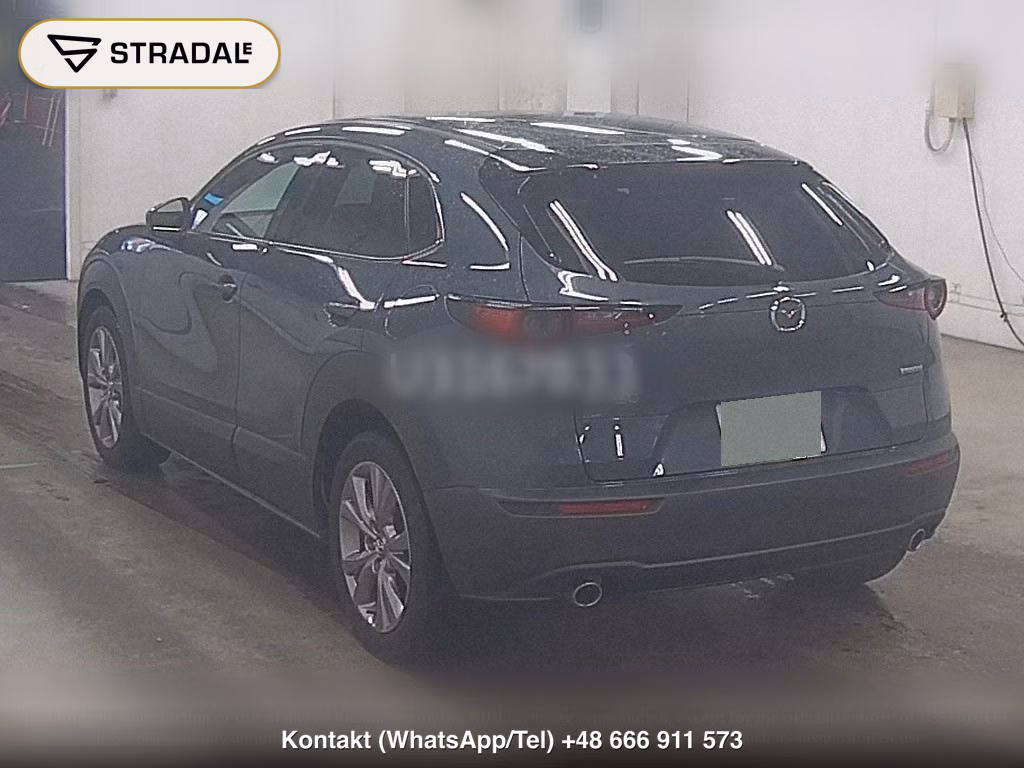 MAZDA CX-30 XD L PACKAGE, miniaturka 3