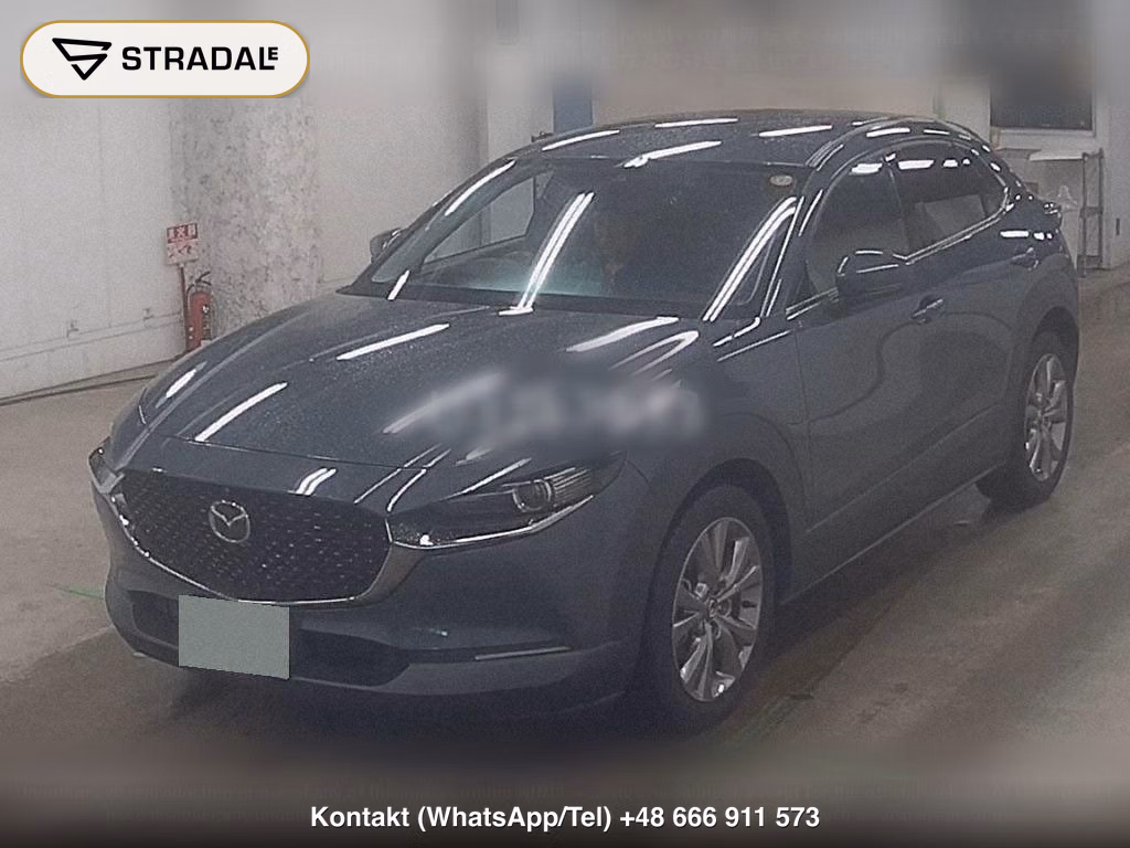 MAZDA CX-30 XD L PACKAGE, miniaturka 5