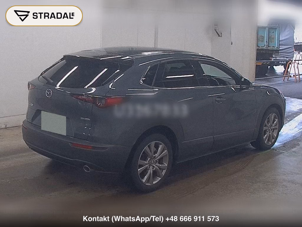 MAZDA CX-30 XD L PACKAGE, miniaturka 6