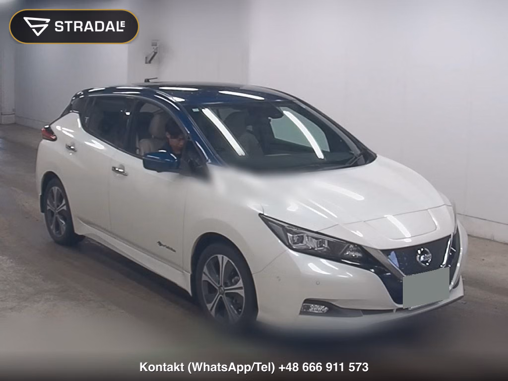 NISSAN LEAF E+ G 2019, aukcja z Japonii, zdjęcie 1