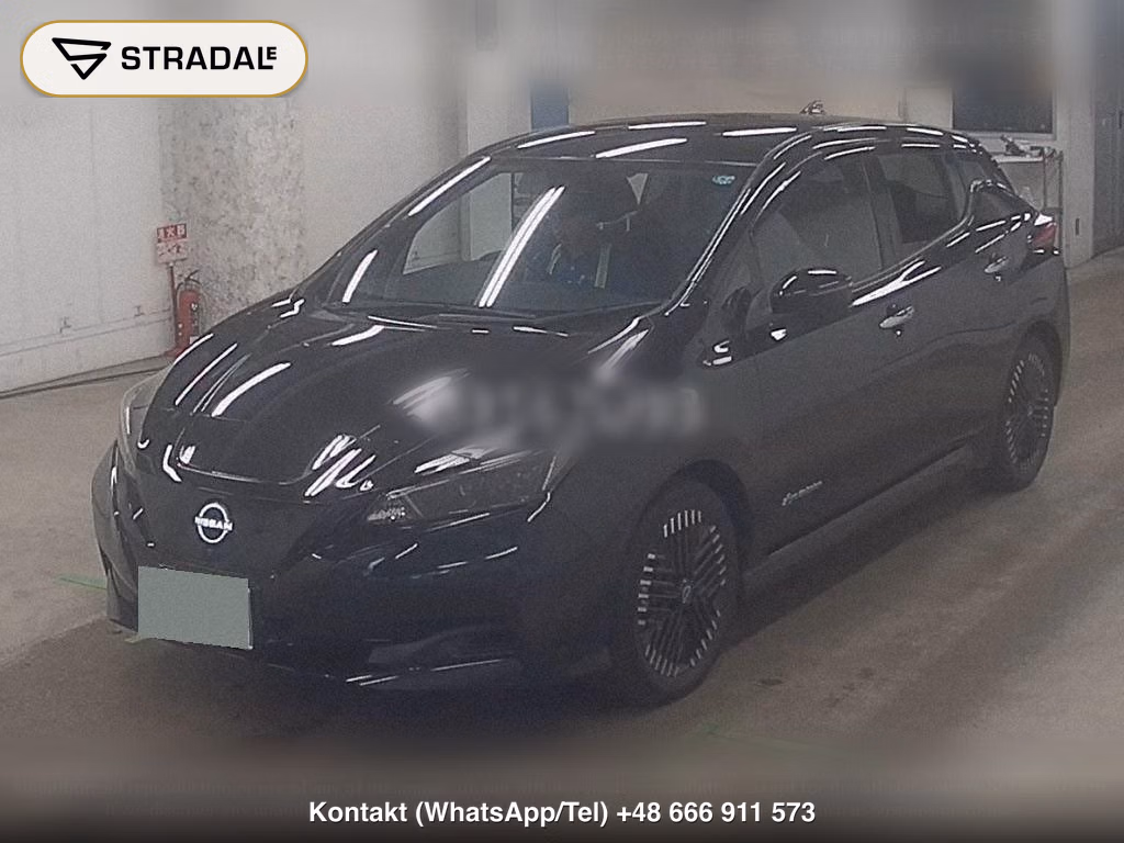 NISSAN LEAF X V SELECTION, miniaturka 5