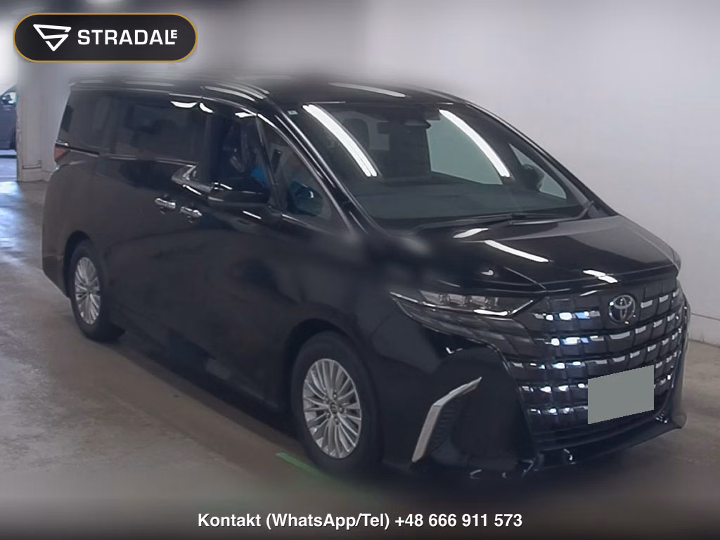 TOYOTA ALPHARD HYBRID X 1995, aukcja z Japonii, zdjęcie 1