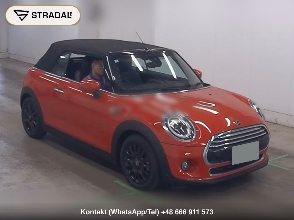 MINI MINI OP OTHERS 2019, aukcja z Japonii, zdjęcie 1