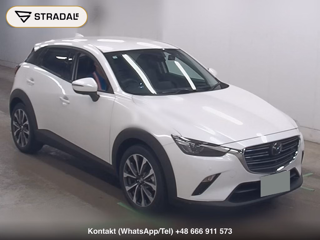 MAZDA CX-3 20S PROACTIVE 2019, aukcja z Japonii, zdjęcie 1