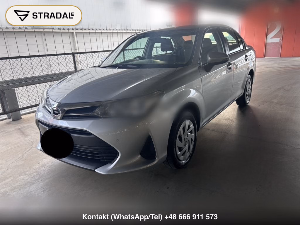 TOYOTA COROLLA AXIO 4WD EX, miniaturka 10